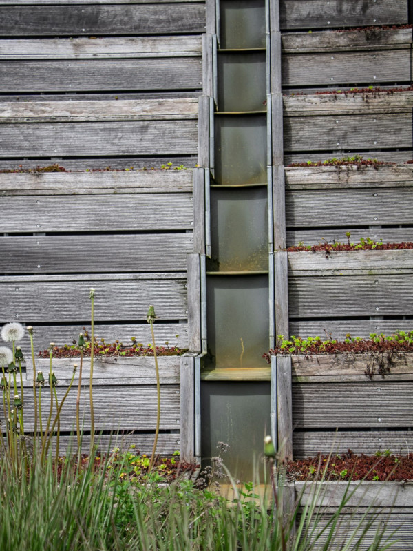 Resilience House