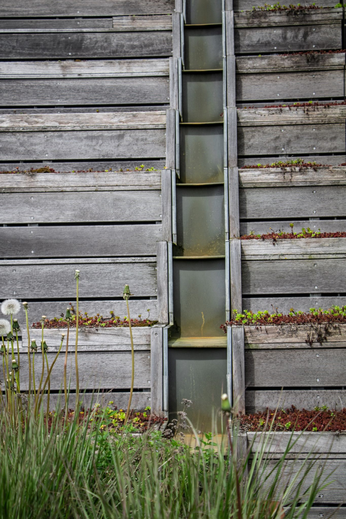 Resilience House